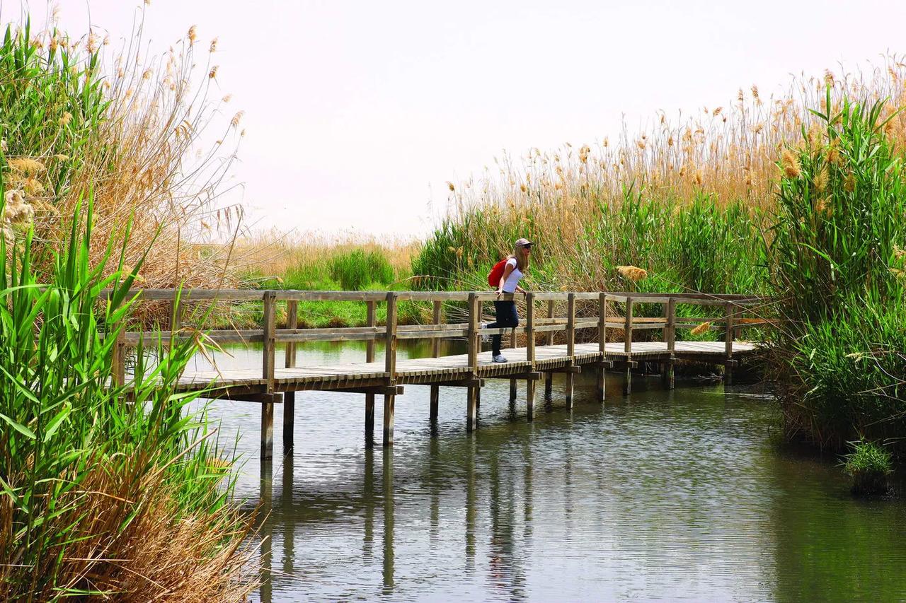 Day Tour of the Desert Castles & Azraq Wetland Reserve